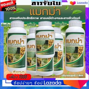 แมกม่า-Maxma (ชุด 6 ขวด) ขวดละ 1 ลิตร ชุดประหยัดสุดคุ้ม 1 ลิตร ผสมน้ำได้ถึง 8000-10000 ลิตร ใช้ได้กับพืชทุกชนิด