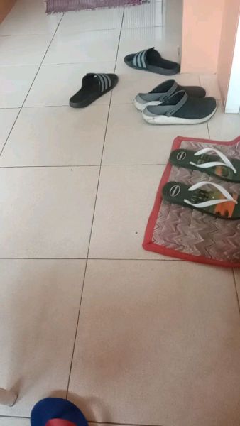 Buyer review video 2