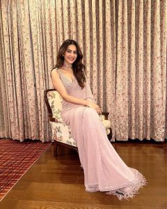 [PRE-ORDER] NEW WEEDING WEAR SUPERHIT DESIGNE BEAUTIFUL SEQUINCE SAREE WITH BLOUSE [DELIVERY TIME 12 DAYS]