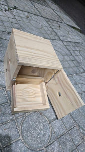 1 tổ sinh sản 18*18*18 cho yến phụnglovebird parrotlet bằng gỗ thông có kèm khay rút đáy dễ dàng vệ sinh tổ