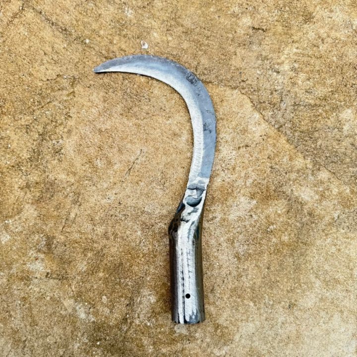 เคียวดีด เหล็กกล้า ขนาด 8 นิ้ว สำหรับเกี่ยวผลไม้