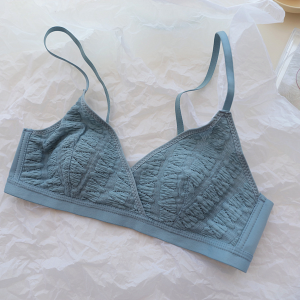 Áo Ngực Nữ Ren Lưới Lót Mỏng Siêu Thoáng Mềm Mịn Bảng Lưng Dan L&U 9391