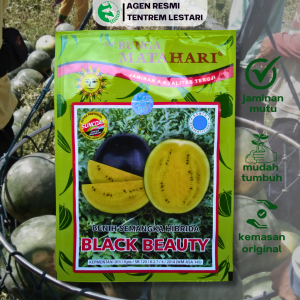 Benih Semangka Kuning BLACK BEAUTY F1 10 Gram Cap Bunga Matahari Hibrida Unggul