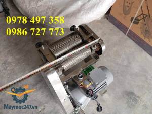 Máy dầm thịt chính hãng sản xuất tại Việt Nam