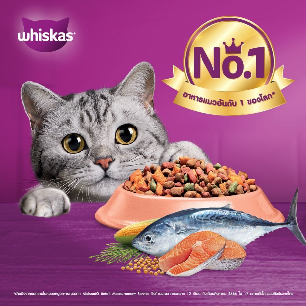 อาหารแมวแบบแห้ง ใหม่!! Whiskas วิสกัส อาหารแมวชนิดเม็ด แมวโต รสทูน่าและแซลมอน 3 กก