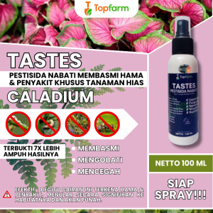 Obat Semprot Lidah Mertua / Obat Tanaman Hias Keladi / Obat Tanaman Keladi / Obat Penyubur Bunga Keladi / Obat Khusus Tanaman Caladium / Obat Tanaman Hias Caladium