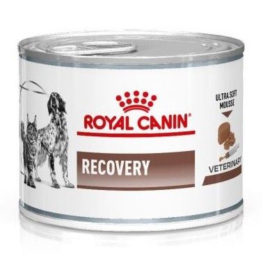 Royal Canin Recovery 195 gr makanan kucing anjing Lazada Indonesia