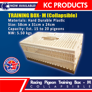 RACING PIGEON COLLAPSIBLE CAGE(T-Box) Cage Size: Medium Capacity: Est. 15 to 20 pigeons