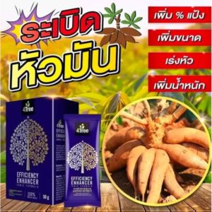 🔥🥔โฟร์ทรี 4Tree 🌿 สำหรับแช่ท่อนมันสำปะหลัง เร่งราก กระชากยอด อินทรีย์ 100%