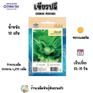 เขียวปลี CT-OP-177 เขียวปลี  ผักซอง เจียไต๋  เขียวปลี เมล็ดพันธุ์ผัก เมล็ดผัก เมล็ดพืช ผักสวนครัว ประมาณ 5630 เมล็ด