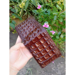 Ví Da Lưng cá sấu cho nam cao cấp