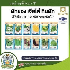 CHIATAI 🇹🇭 รวมผัก ผักซอง เจียไต๋ กินฝัก 12 ชนิด *คละชนิดได้ เพียงกดเพิ่มชนิดลงรถเข็น* บวบ มะระ ถั่ว กระเจี๊ยบ เมล็ดพันธุ์ผัก เมล็ดผัก