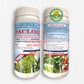 PACLO 15 - SIÊU CỨNG CÂY, CHỐNG ĐỔ NGÃ, THÚC ĐẨY RA HOA SỚM. 