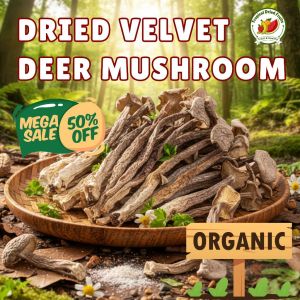 Dried Velvet Antler Mushroom | Wild Low Calorie Immunity Boost Vitamin & Fiber Rich