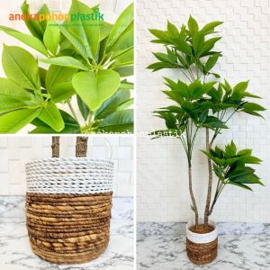 Pohon Artificial Pohon Imitasi Daun Manggis Variasi Tinggi 150 & 170 Cover Seagrass Dekorasi Sudut Cafe Aesthetic