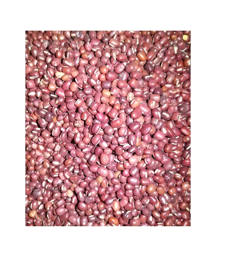 Red Munggo / Monggo / Mung Beans 500g | Lazada PH