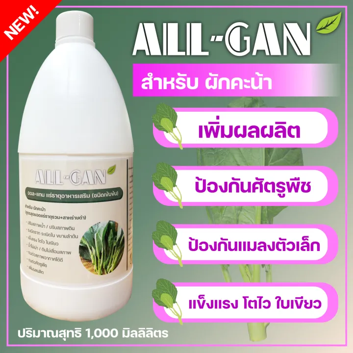 ปุ๋ยน้ำคะน้า ALL GAN สูตรเข้มข้น ป้องกันใบไหม้