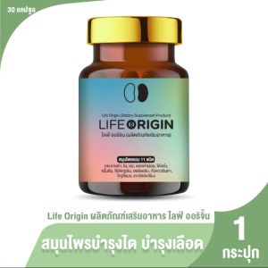 Life Origin แคปซูลบำรุงไตและเลือด 11 สมุนไพร แพคเดี่ยว 30 แคปซูล