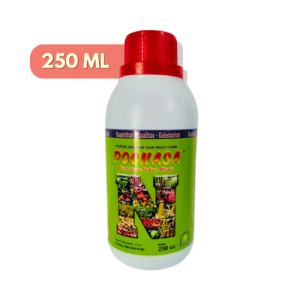 Pupuk Pelebat Buah Cabai Rawit Cepat Berbuah Pupuk Penyubur Organik Pupuk Booster Cabai Rawit Rontok