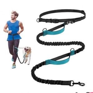LIUJIR Dual Handle Dog Traction Rope Hands Free Adjustable Pet Leads Multifunction Dogs Training Jogging Dog Leash Pet Supplies