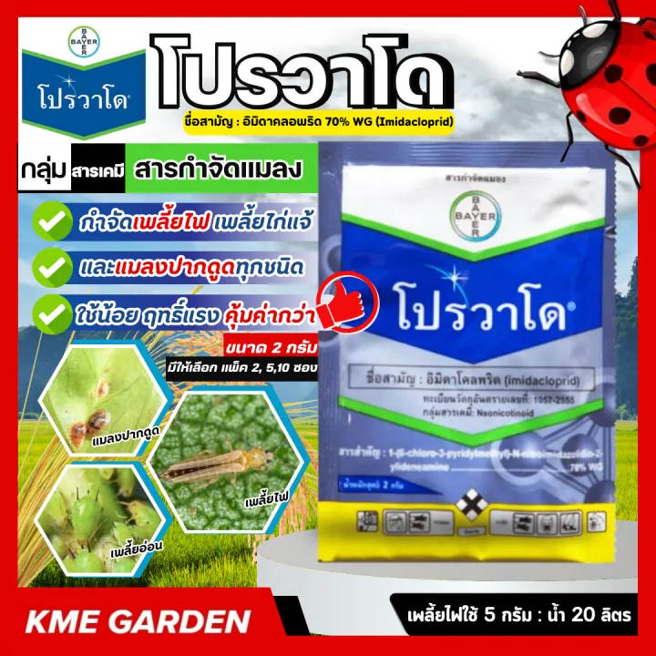 โปรวาโด Provado กำจัดเพลี้ยไก่แจ้และแมลงปากดูด