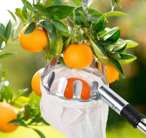 Đầu Vợt Hái Trái Cây Trên Cao Kèm Túi Vải Làm Bằng inox 304 Có Kèm Đầu Nối Lắp Cán Dài Siêu Bền Đẹp