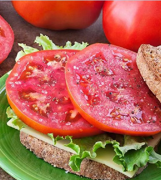 Beefsteak Tomato Health Benefits, Nutrition, Recipes, Substitutes