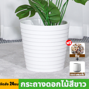 🔥ราคาถูกที่สุด🔥มอนเสตอร่า ต้นไม้ปลอม สูง120ซม18/24ใบไม้ ฟรีกระถางดอกไม้ต้นไม้+หินตกแต่ง ความจำลอง 99% สไตล์นอร์ดิก ในบ้าน