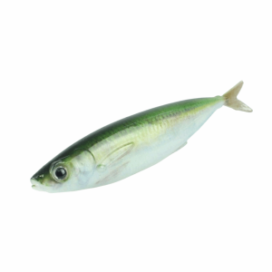 INSTALLSTORE64RE9 2pcs Luminous Flying Fish Bait PVC Printing 3D Simulation Simulation Fishing Lures 15cm High Imitation Lures Sea Fishing
