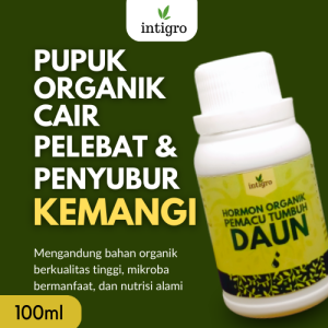 Pupuk kemangi / Pupuk Penyubur Daun Kemangi / Pupuk Pelebat Daun Kemangi Organik Cair Semprot