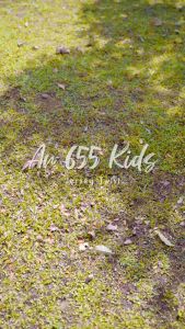 ARRAFI Hijab Instan Anak AR 655 Kids Perempuan Jersey Premium Polos Rempel Pet Antem Daily