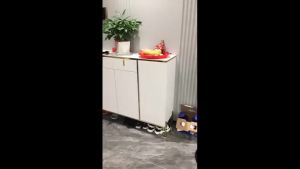 Italian light luxury rock slate shoe cabinet home doorway large capacity entryway storage cabinet simple modern storage shoe rack