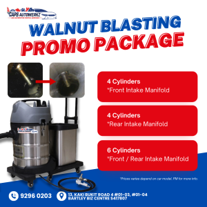 Car Service - Walnut Blasting - Deep Carbon Cleaning Service Session with Labour