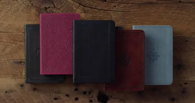 2025 ESV Large Print Value Compact Bible Trutone Black Red Letter