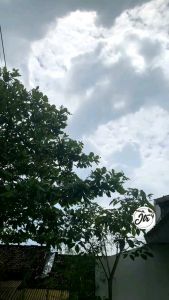 ALJAYA CHAYRA COUPLE BEST SELLER | COUPLE MUSLIM