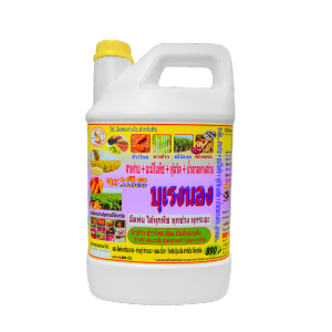 บุเรงนอง ขนาด 4 ลิตร อะมิโนพืช+สาหร่าย+ไคโตซาน+น้ำตาลทางด่วน อาหารพืช ใช้ฉีดพ่นทางใบ
