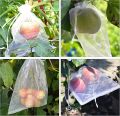 100 Pieces Green Fruit Protection Bags- 6x8 Inch Fruit Netting Bags with Drawstring,Garden Fruit Cover Mesh Bag to Protect Plants from Pest Birds Squirrels. 