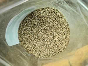 Đá Pumice trồng sen đá lót đáy chậu trang trí chậu cây 3dm3 khoảng 1kg Minh Hân Garden