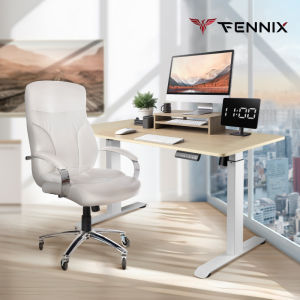 Fennix Ergonomic Desk โต๊ะปรับระดับอัตโนมัติด้วยระบบไฟฟ้า โต๊ะทำงานเพื่อสุขภาพ รับประกันศูนย์ไทย 3 ปี