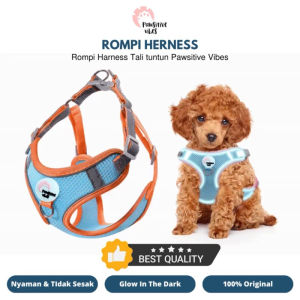 Pawsitive Vibes Rompi Anjing Kucing - Tali Harness Anjing Kelinci Pengikat Reflektif Harness Kucing Murah - Rompi Glow In The Dark Harness Bahan Mesh Lembut Dengan Busa Untuk Anjing Kucing Ukuran Kecil Sedang