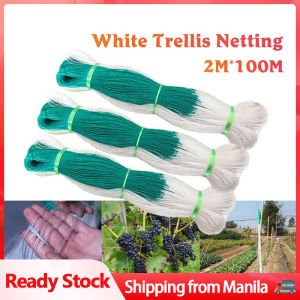 【24 hours shipping】Garden Plant Climbing Net Cucumber Vegetables Trellis Net Plant Support Netting White Nylon Support Mesh 2Mx100M