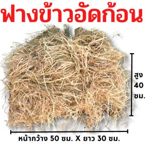 ฟางข้าวก้อนใหญ่ หนักเฉลี่ย15-20 กก. ส่งจากนครปฐม ราคาหน้าไร่มาเอง ไม่ชื้น ไม่เก่า ฟางข้าวอัดก้อน