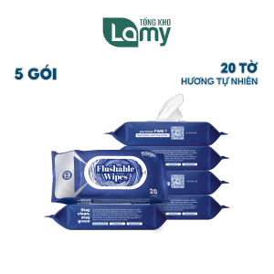 TỔNG KHO_Combo 05 Gói Khăn ướt vệ sinh Flushable Wipes gói 20 tờ tự tan trong nước