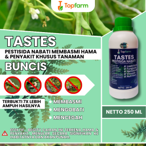 Obat Ulat Untuk Tanaman Buncis / Obat Ulat Buncis / Obat Ulat Tanaman Buncis / Obat Semprot Hama Buncis / Obat Penyubur Buah Buncis / Obat Tanaman Buncis