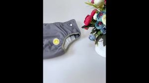 Incontinence Pants for Elderly Waterproof and Washable for Paralyzed Bedridden Individuals Reusable Diapers