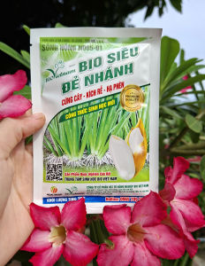 [THIEN THINH SHOP] Phân bón lá Kích rễ đâm chồi Bio Siêu Đẻ Nhánh gói 25 gram