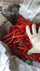 ỚT BỘT XAY NHUYỄN ÍT CAY - ỚT TẠO MÀU CHO THỨC ĂN- ĐẶC SẢN HUẾ BÔNG BÔNG