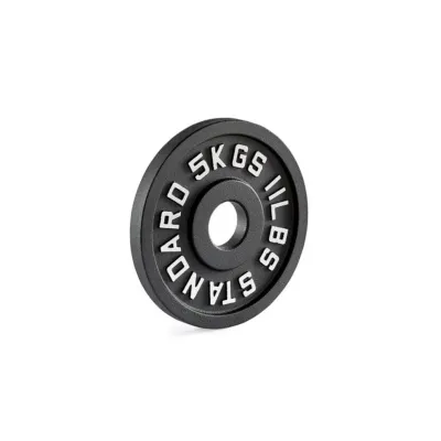 Pivot P2500 Cast Iron Olympic Plates (2 inch)