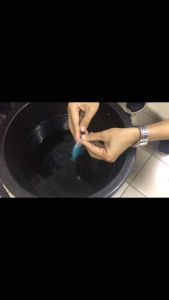 เชื้อบาซิลัส ซับทิลิส หัวเชื้อบีเอส BS โรครากเน่า ทุเรียนโรคแอนแทรกโนส(กู้แห้ง) ในพริก หรือโรคตายพรายในกล้วย