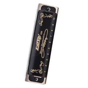 Diatonic Harmonica 10 Holes Blues Harmonica Blue T008K with Case Professional Harmonica for Beginner Students Adults2026